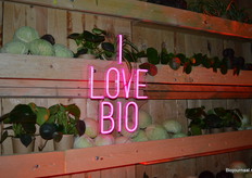 Een mooie wand in de gang richting de tweede hal.